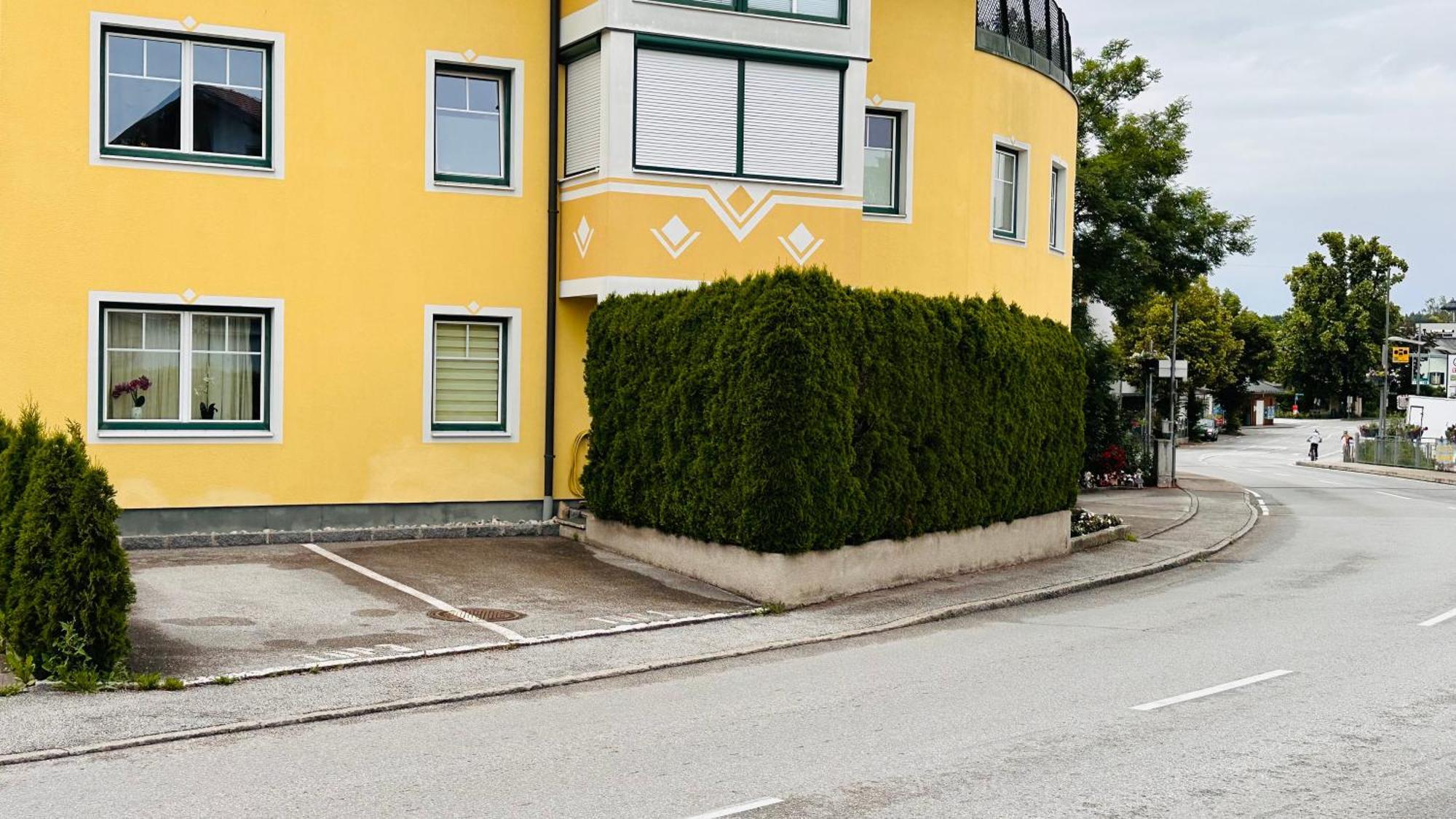 Naturparadies Salzburg-Land Seekirchen am Wallersee Exteriör bild